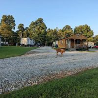 Camp Safe Haven/ Earthbound lodging ico