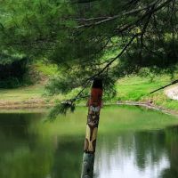 WindyHollow Campground/Rv Park Office ico