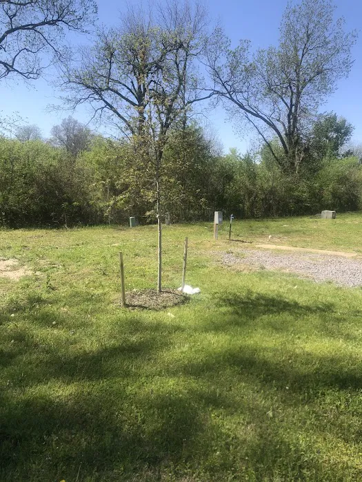 Pecan Acres RV Park Picture 7