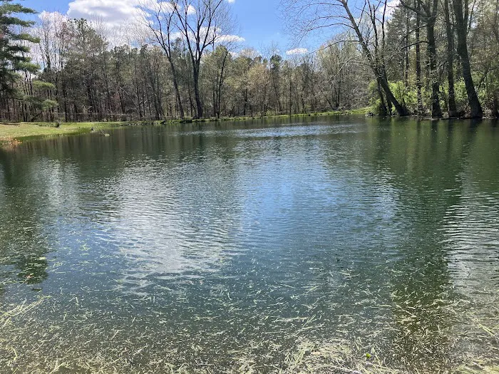 Windy Hollow Campground(camp*fish*swim) Picture 8
