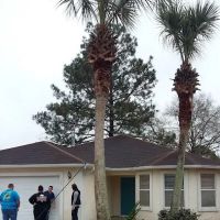 Cedar Grove Mobile Home Park ico
