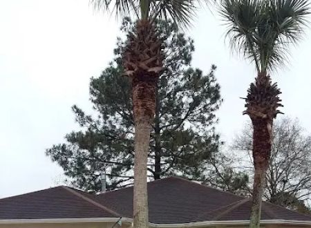 Cedar Grove Mobile Home Park