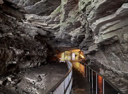 Mammoth Cave Campground