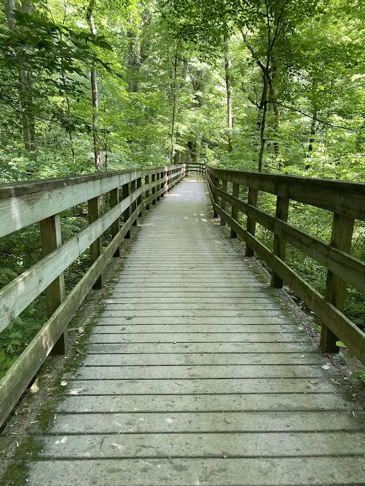 Mammoth Cave Campground Picture 3