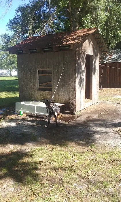 Sherman Pines Mobile Home Park Picture 9