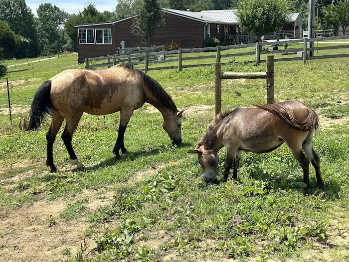 Double J Stables and Campgrounds Picture 1