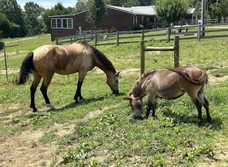 Double J Stables and Campgrounds