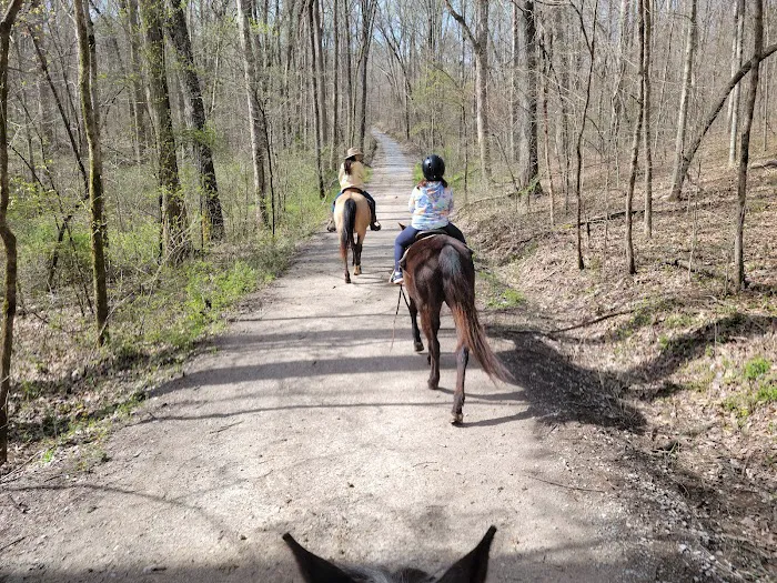 Double J Stables and Campgrounds Picture 9
