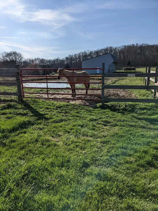 Double J Stables and Campgrounds Picture 10