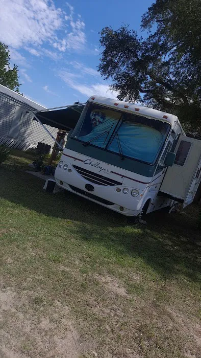 Sal Hollow Campground Picture 3