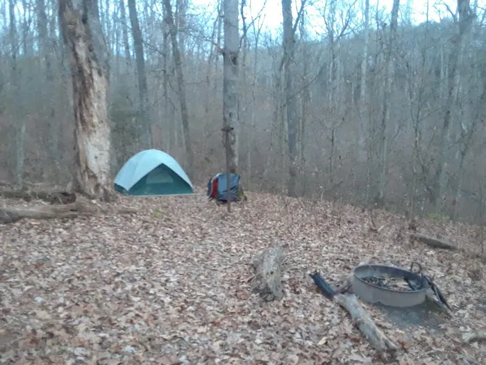 Ferguson Campground Picture 3