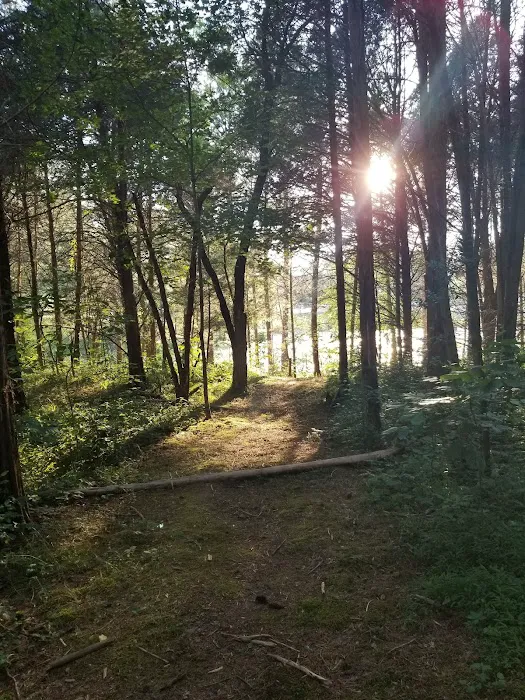 Dog Creek Campground Picture 7