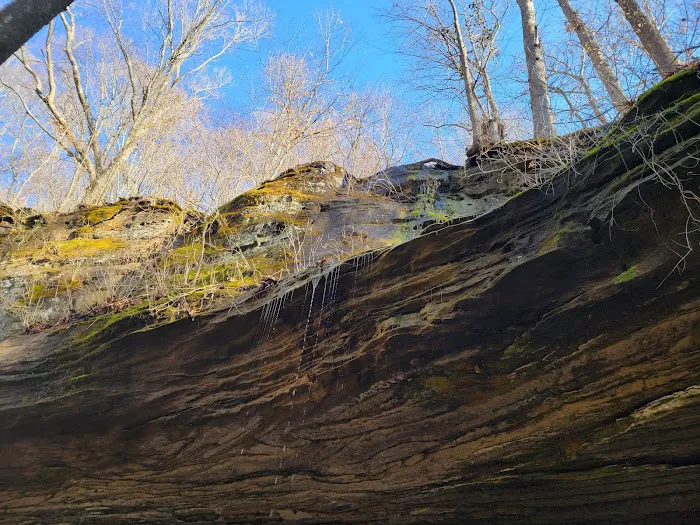 Bluffs Campground Picture 2