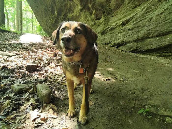 Bluffs Campground Picture 6