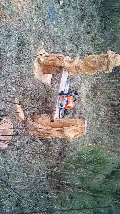 Pines/Palm Haven Mobile Home Park Picture 3