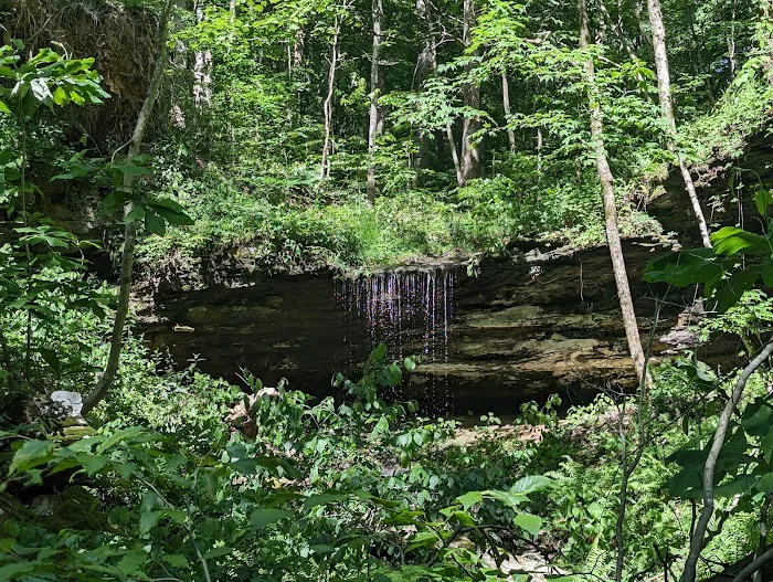 Collie Ridge Campground Picture 2