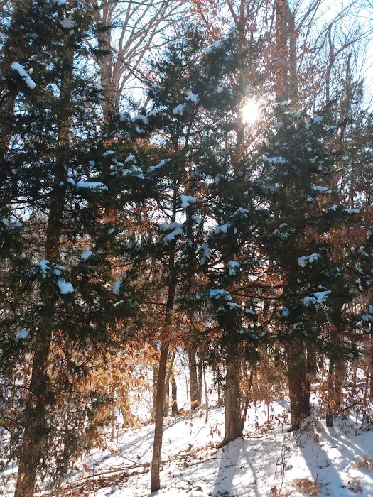 US Campgrounds Picture 7