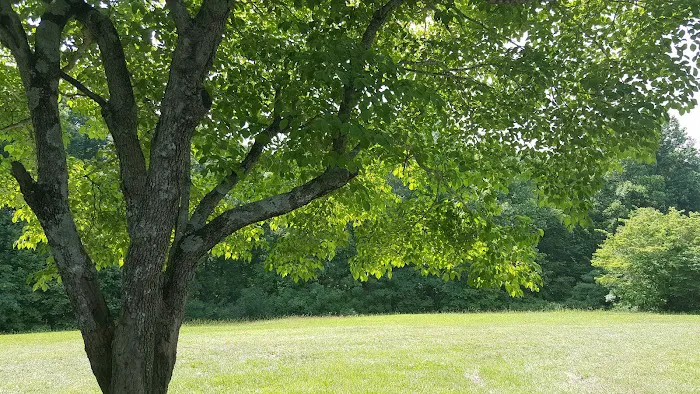 Walnut Creek Campground (Private) Picture 5