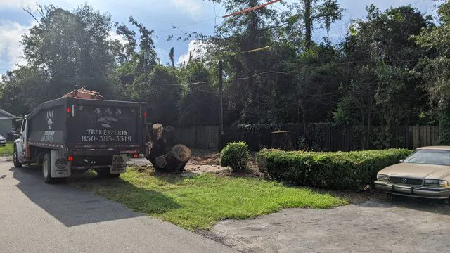 Carriage Manor Mobile Home Community Picture 4