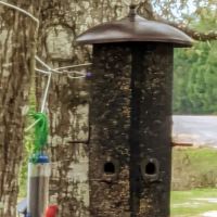 Green Acres Mobile Home Park ico