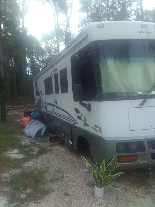 Black Creek RV Park Picture 3