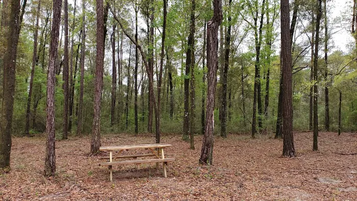 Black Creek RV Park Picture 4