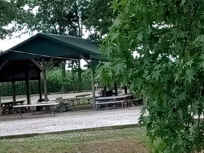 Hillbilly Acres Campground LLC Picture 1