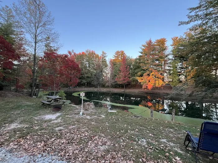 Hillbilly Acres Campground LLC Picture 2
