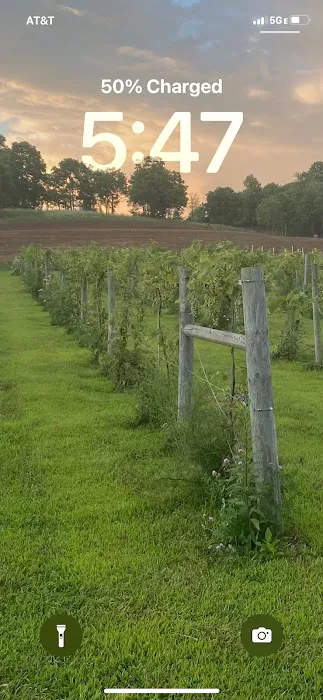 Fallen oak campground and vineyard llc Picture 6