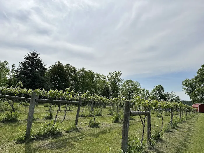 Fallen oak campground and vineyard llc Picture 2
