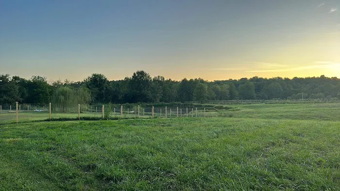 Fallen oak campground and vineyard llc Picture 7