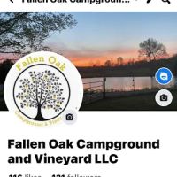 Fallen oak campground and vineyard llc ico