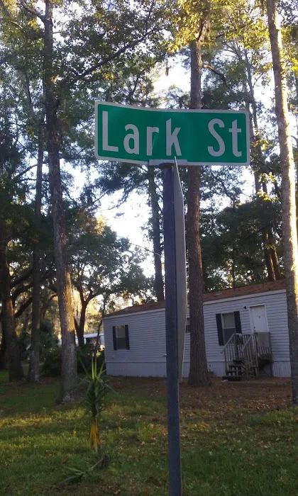 Shady Acres Picture 2