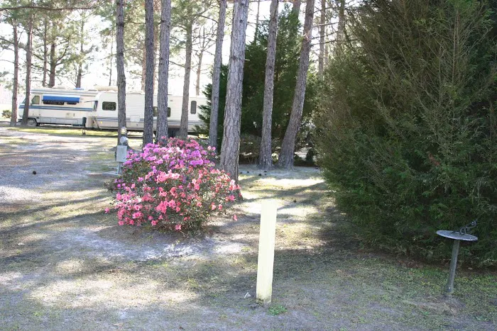 Lake City RV Resort Picture 8