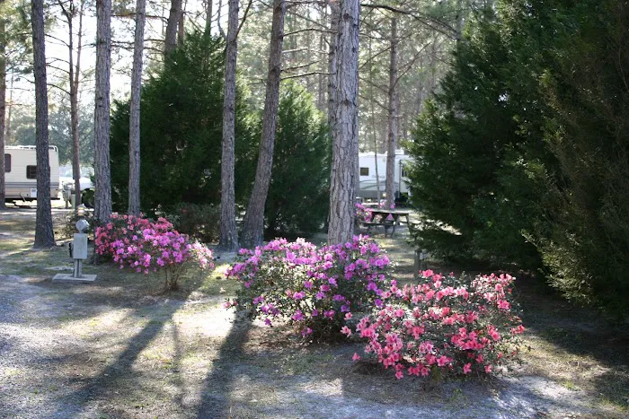 Lake City RV Resort Picture 6