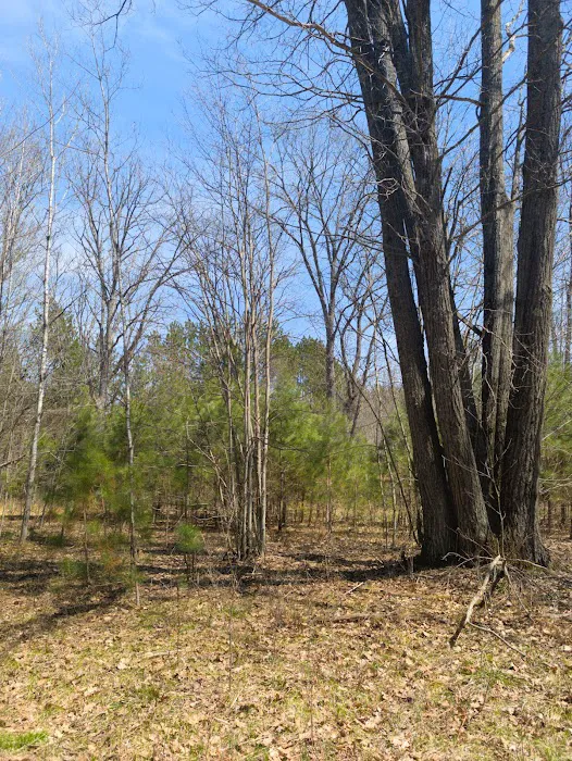 South Branch Trail Camp for the Shore to Shore Horseback and Hiking Trail Picture 5