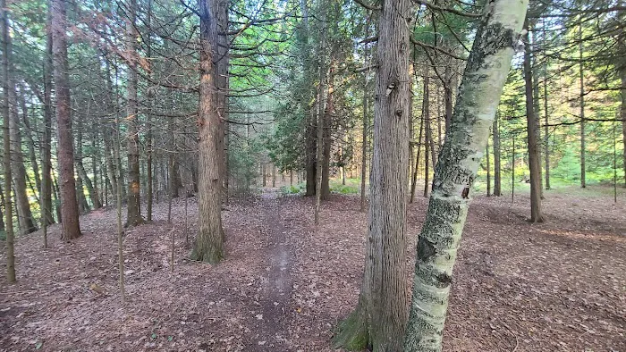 Ausable River Camping Site 77d Picture 4