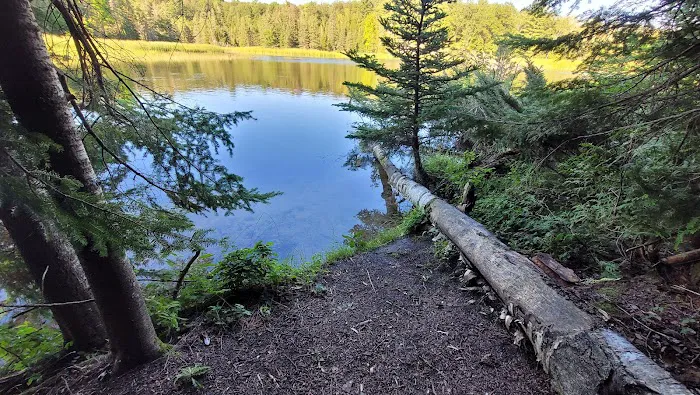 Ausable River Camping Site 76d Picture 5
