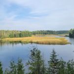 Ausable River Camping Site 76d