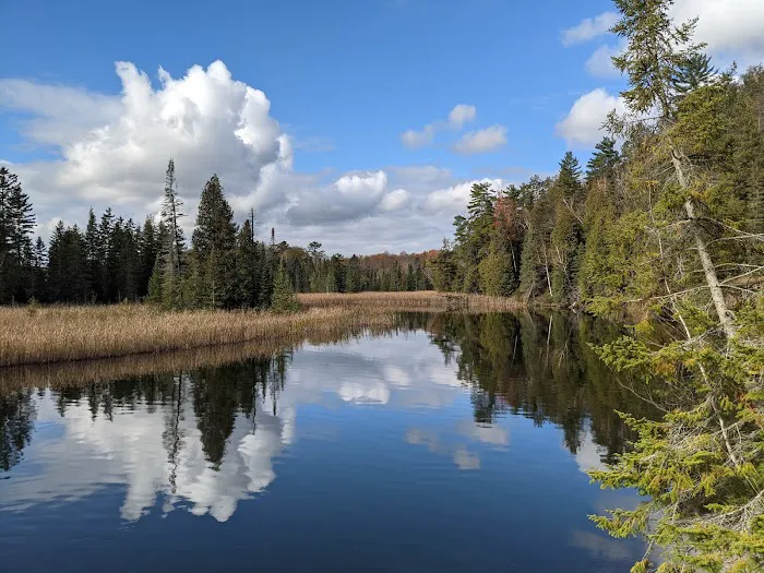Ausable River Camping Site 82 Picture 2