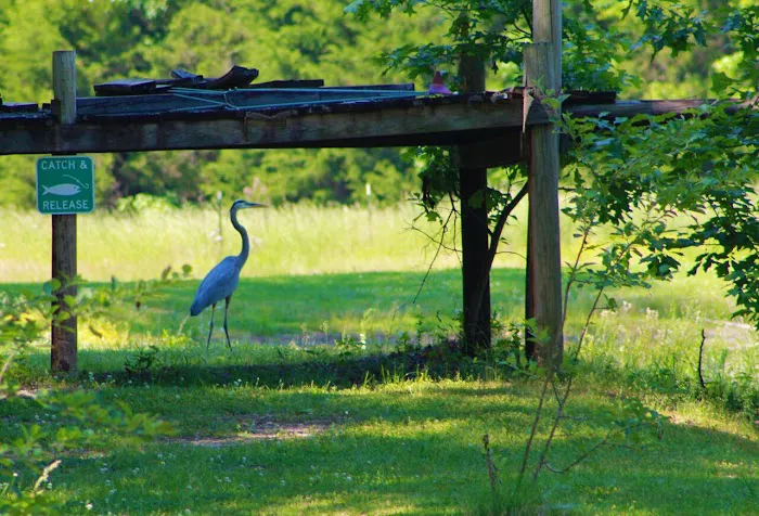 Belaire RV Park Picture 5