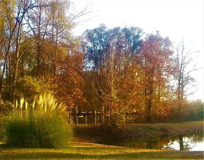 Belaire RV Park Picture 6