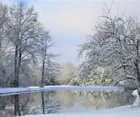 Belaire RV Park