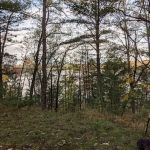 Site 073D Ausable River Camping