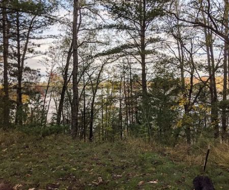 Site 073D Ausable River Camping