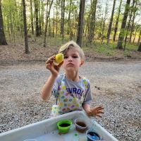Indian Mound Campground Resort ico