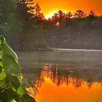 AuSable River Huron National Forest #68 ico