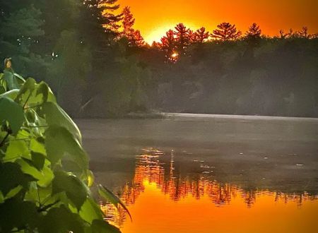 AuSable River Huron National Forest #68