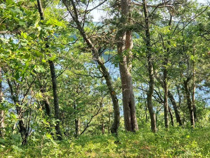 Ausable River Camping - Site 072D Picture 3