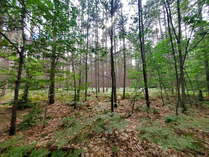 Sulak Campground Picture 1